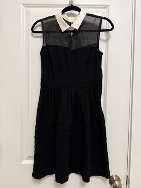 Betsey Johnson Black Dress with Sheer Panel and Cream Collar